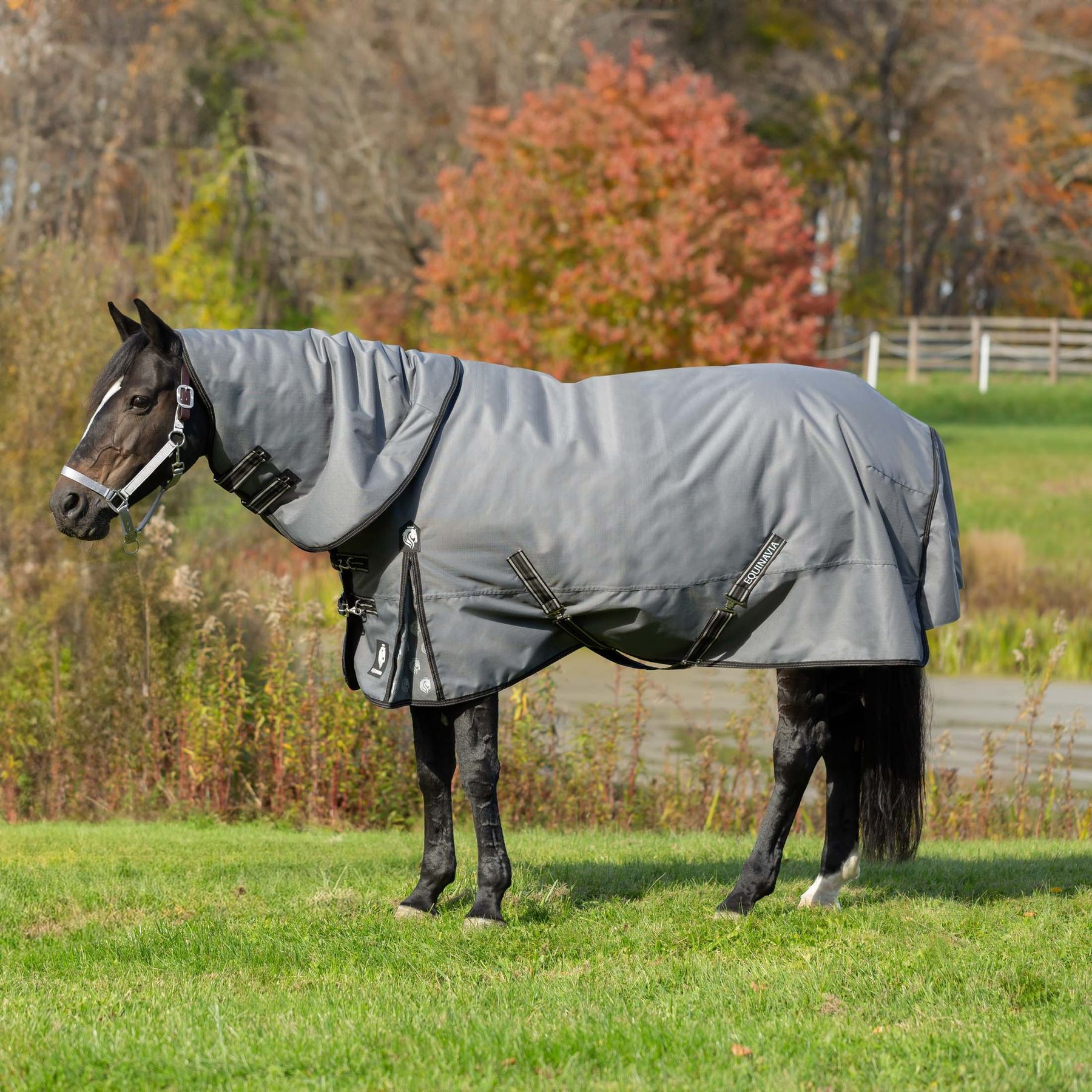 Equinavia Arktis Regular Neck Horse Turnout Sheet, Carbon Gray, 84-in