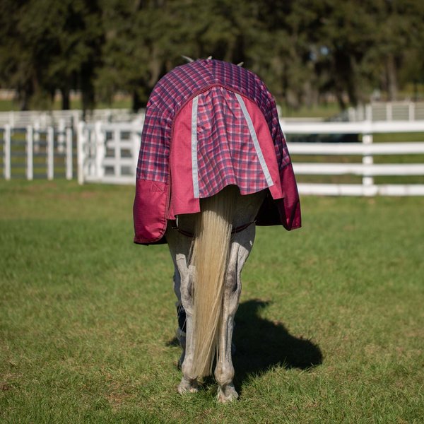 Equinavia Arktis Regular Neck Midweight 200-g Horse Turnout Blanket