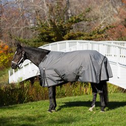 Equinavia Arktis Regular Neck Lightweight 100-g Horse Turnout Blanket, Carbon Grey, 69-in slide 2 of 8