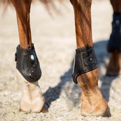 Show full view: Equinavia Asgardian Ankle Horse Boots, Black, Horse slide 5 of 9