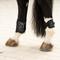 Show in main carousel: Equinavia Asgardian Ankle Horse Boots, Black, Horse slide 2 of 9