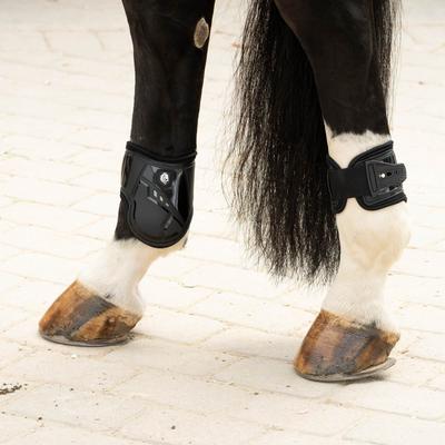 Show full view: Equinavia Asgardian Ankle Horse Boots, Black, Horse slide 2 of 9