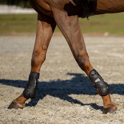 Show full view: Equinavia Asgardian Open Front Horse Boots, Black, Warmblood slide 3 of 9