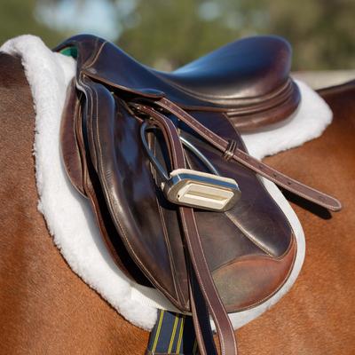 Show full view: Equinavia Eidsvoll Classic Fleece Show Pad, White, Medium slide 5 of 9