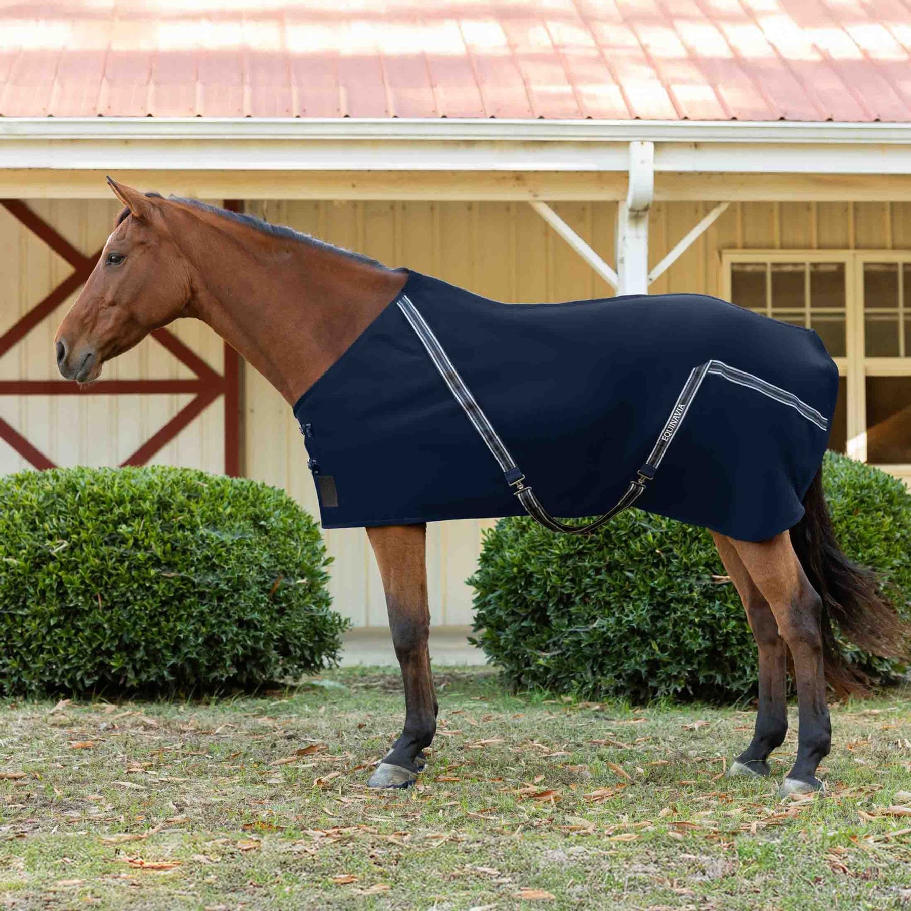 Equinavia Fryd Cotton Horse Stable Sheet, Navy, 82-in