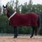 Show in main carousel: Equinavia Koselig Fleece Horse Cooler, Cranberry Red, 68-in slide 1 of 9
