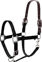 Equinavia Loki Horse Breakaway Halter, Black, Horse