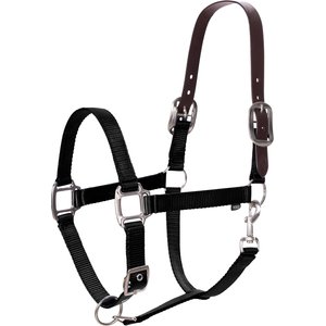 Equinavia Loki Horse Breakaway Halter, Black, Horse