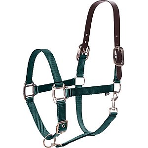 Equinavia Loki Horse Breakaway Halter, Hunter Green, Warmblood