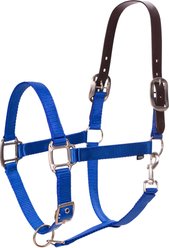 Equinavia Loki Horse Breakaway Halter, Royal Blue, Warmblood
