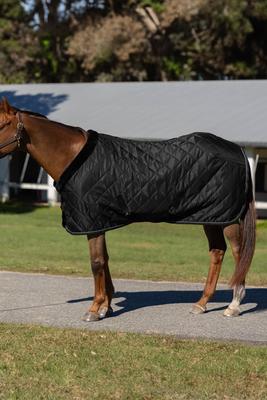 Show full view: Equinavia Luksus Premium Horse Stable Blanket, Black, 72-in slide 2 of 3