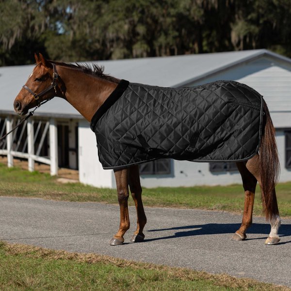 Equinavia Fryd Cotton Stable Horse Sheet, Black