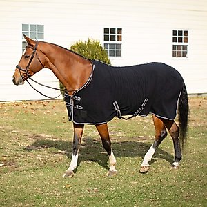 Equinavia Norse Fleece Horse Cooler, Black/Grape Purple, 80-in