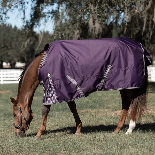 Equinavia Norse Heavyweight 300-g Horse Turnout Blanket