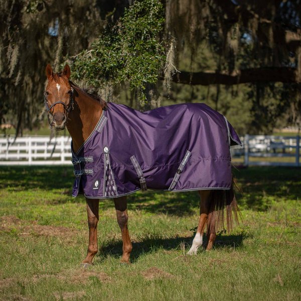 Equinavia Norse Horse Turnout Sheet