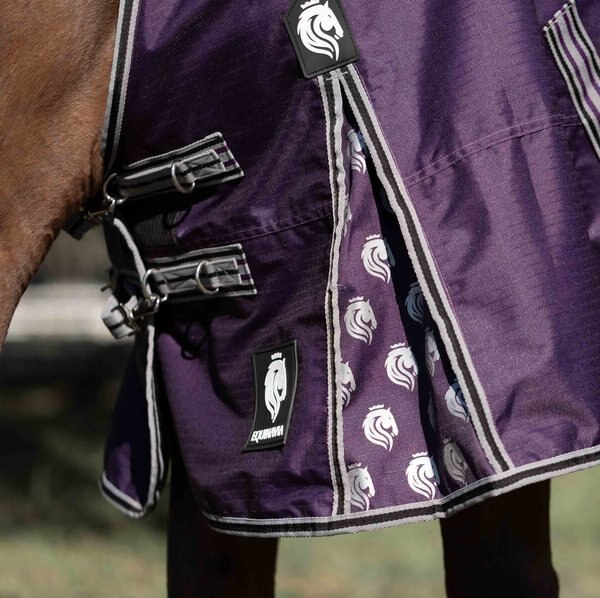 Equinavia Norse Turnout Horse Sheet, Navy/Turquoise