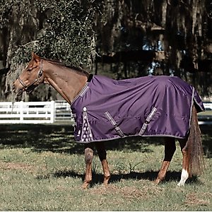 Equinavia Norse Midweight 200-g Horse Turnout Blanket, Grape Purple, 72-in