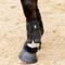 Show in main carousel: Equinavia Odin Flexi Brushing Horse Boots, 2 count, Black, X-Large slide 2 of 5