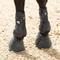 Show in main carousel: Equinavia Odin Flexi Overreach Horse Boots, Black, X-Large slide 3 of 9