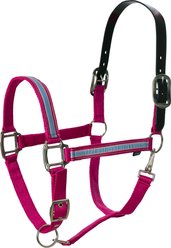 Equinavia Pegasus Ribbon Horse Breakaway Halter, Pink/Blue Preppy Stripe, Pony