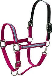 Equinavia Pegasus Ribbon Horse Breakaway Halter, Pink/Blue Preppy Stripe, Warmblood
