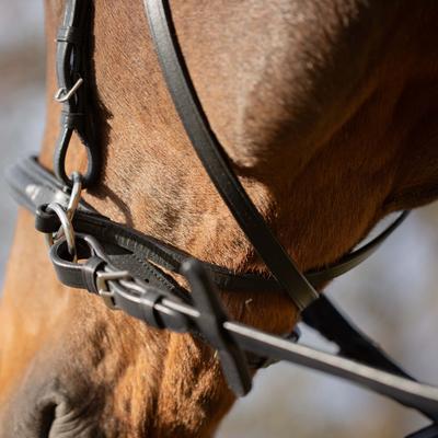 Show full view: Equinavia Saga Bitless Horse Bridle, Black, Cob slide 4 of 5