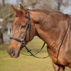 Equinavia Saga Bitless Horse Bridle, Black, Warmblood