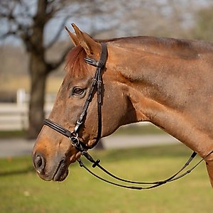 Equinavia Saga Bitless Horse Bridle, Chocolate Brown, Horse