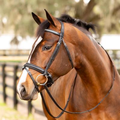 Show full view: Equinavia Saga Dressage Crank Noseband Horse Bridle & Reins, Black, Warmblood slide 6 of 9