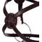 Show in main carousel: Equinavia Saga Fancy Stitched Figure 8 Horse Bridle & Reins, Chocolate Brown, Horse slide 6 of 9