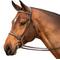 Show in main carousel: Equinavia Saga Fancy Stitched Hunter Horse Bridle & Reins, Chocolate Brown, Cob slide 6 of 9