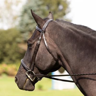 Show full view: Equinavia Saga Fancy Stitched Hunter Horse Bridle & Reins, Chocolate Brown, Pony slide 5 of 9