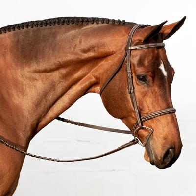 Show full view: Equinavia Saga Fancy Stitched Hunter Horse Bridle & Reins, Chocolate Brown, Pony slide 2 of 9