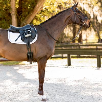 Show full view: Equinavia Saga Padded Dressage Horse Bridle & Reins, Black, Horse slide 2 of 9