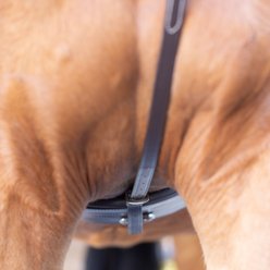 Equinavia Saga Standing Martingale, Chocolate Brown, Warmblood slide 2 of 6