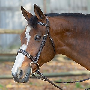 Equinavia Saga Wide Noseband Hunter Horse Bridle with Reins, Chocolate Brown, Horse