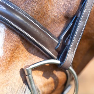 Show full view: Equinavia Saga Wide Noseband Hunter Horse Bridle with Reins, Chocolate Brown, Horse slide 4 of 8