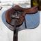 Show in main carousel: Equinavia Stockholm Jump Saddle Pad, Mirage Blue, Horse slide 5 of 8