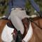 Show in main carousel: Equinavia Stockholm Jump Saddle Pad, White, Horse slide 8 of 9
