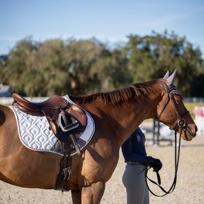 Show full view: Equinavia Stockholm Jump Saddle Pad, White, Horse slide 2 of 9