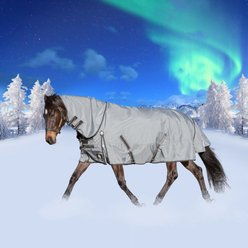 Equinavia Thunder 360 Detachable Neck Midweight 200-g Horse Turnout Blanket, Pewter Gray, 69-in