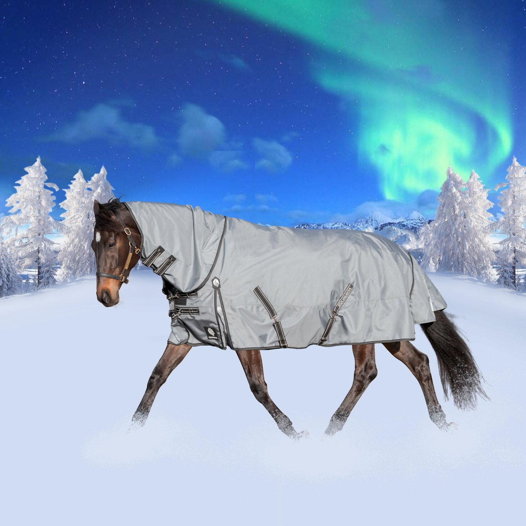 Equinavia Thunder 360 Detachable Neck Midweight 200-g Horse Turnout Blanket, Pewter Gray, 69-in