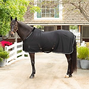 Equinavia Torr Quick Dry Horse Cooler, Black, 80-in