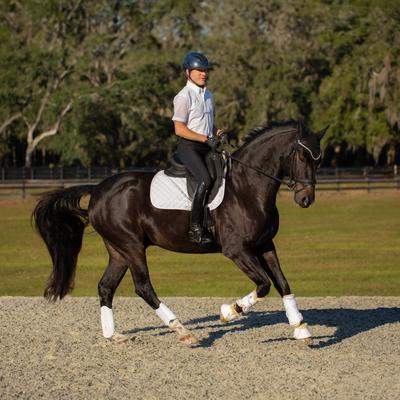 Show full view: Equinavia Ty NordicAir Brushing Horse Boots, White/Natural, Large slide 2 of 6