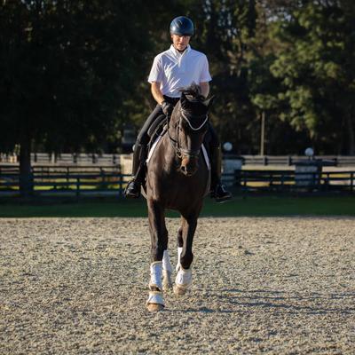 Show full view: Equinavia Ty Ultra Fleece Overreach Horse Boots, White/Natural, Large slide 3 of 8
