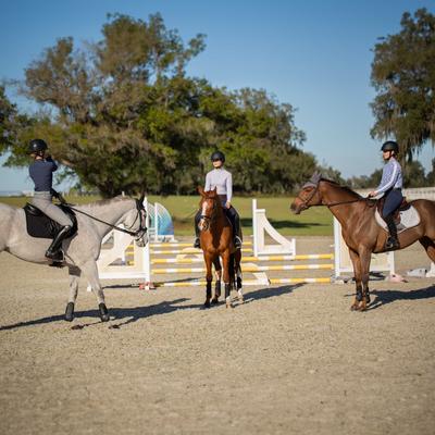 Show full view: Equinavia Valkyrie Alternative Flash Horse Bridle with Rubber Reins, Black, Cob slide 9 of 9