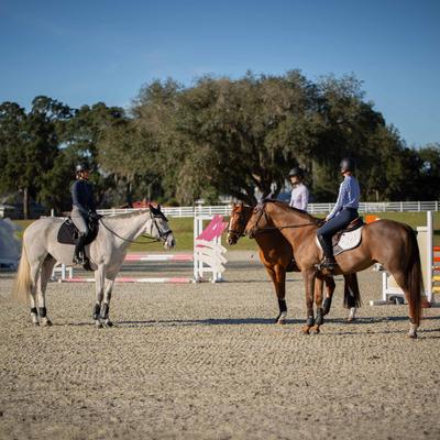 Show full view: Equinavia Valkyrie Alternative Flash Horse Bridle with Rubber Reins, Black, Cob slide 4 of 9