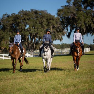 Show full view: Equinavia Valkyrie Alternative Flash Horse Bridle with Rubber Reins, Black, Horse slide 5 of 9