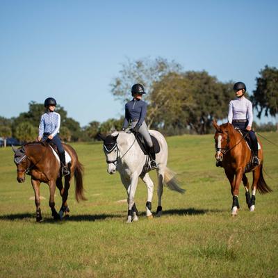 Show full view: Equinavia Valkyrie Alternative Flash Horse Bridle with Rubber Reins, Black, Horse slide 7 of 9