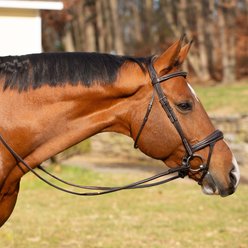 Equinavia Valkyrie Alternative Flash Horse Bridle with Rubber Reins, Chocolate Brown, Warmblood
